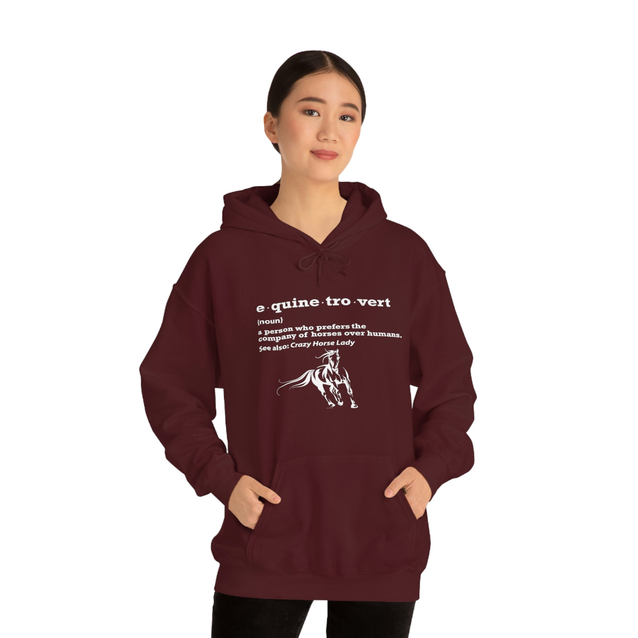 Equinetrovert Definition - Unisex Heavy Blend™ Hooded Sweatshirt