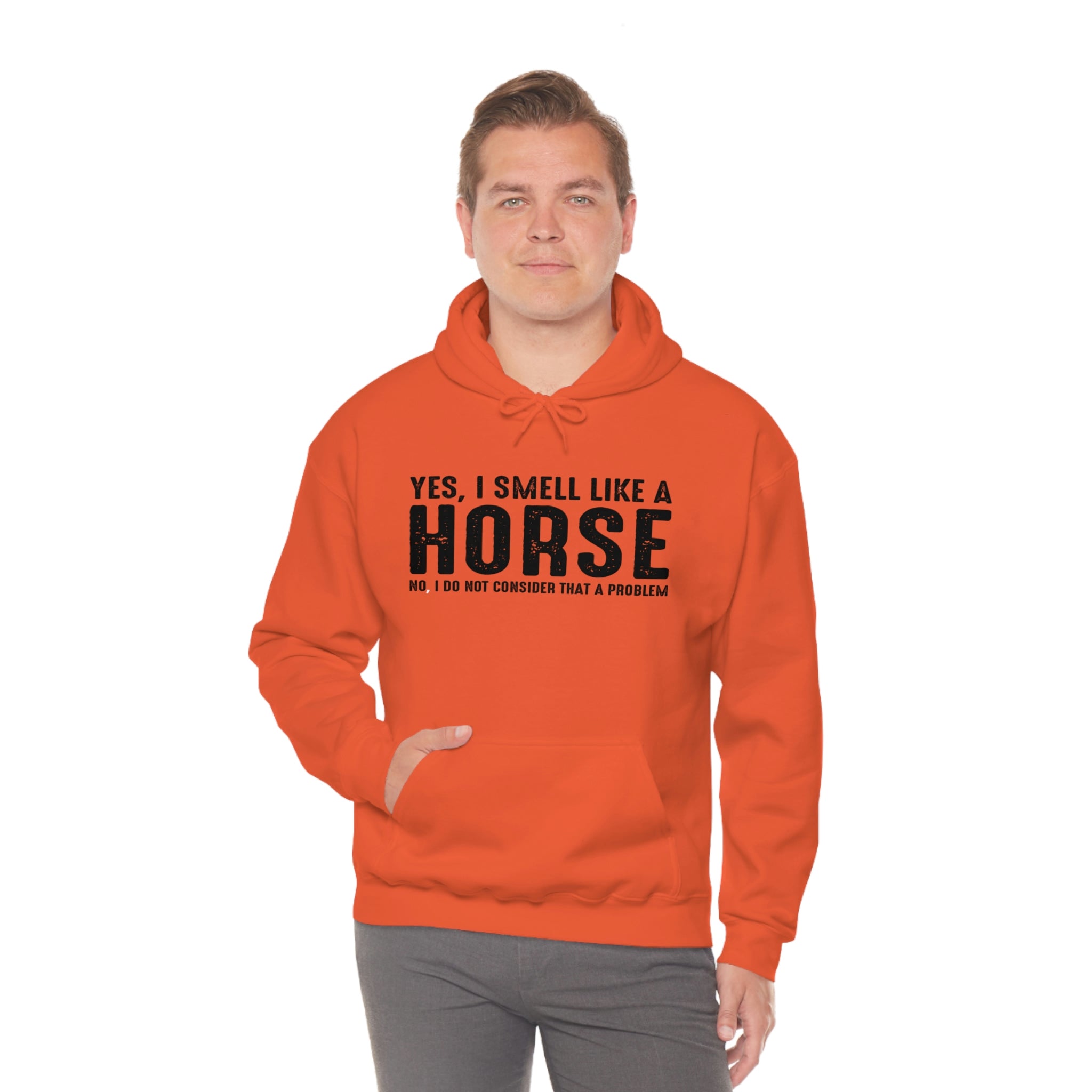 Yes I Smell Like a Horse No I Do Not Consider That A Problem - Unisex Heavy Blend™ Hooded Sweatshirt