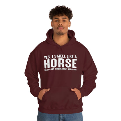 Yes I Smell Like a Horse No I Do Not Consider That A Problem - Unisex Heavy Blend™ Hooded Sweatshirt