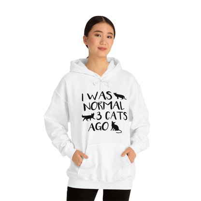 I Was Normal 3 Cats Ago - Unisex Heavy Blend™ Hooded Sweatshirt