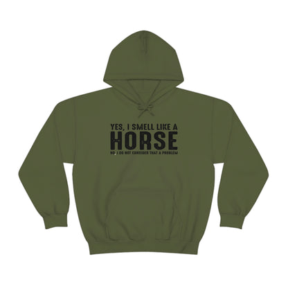 Yes I Smell Like a Horse No I Do Not Consider That A Problem - Unisex Heavy Blend™ Hooded Sweatshirt